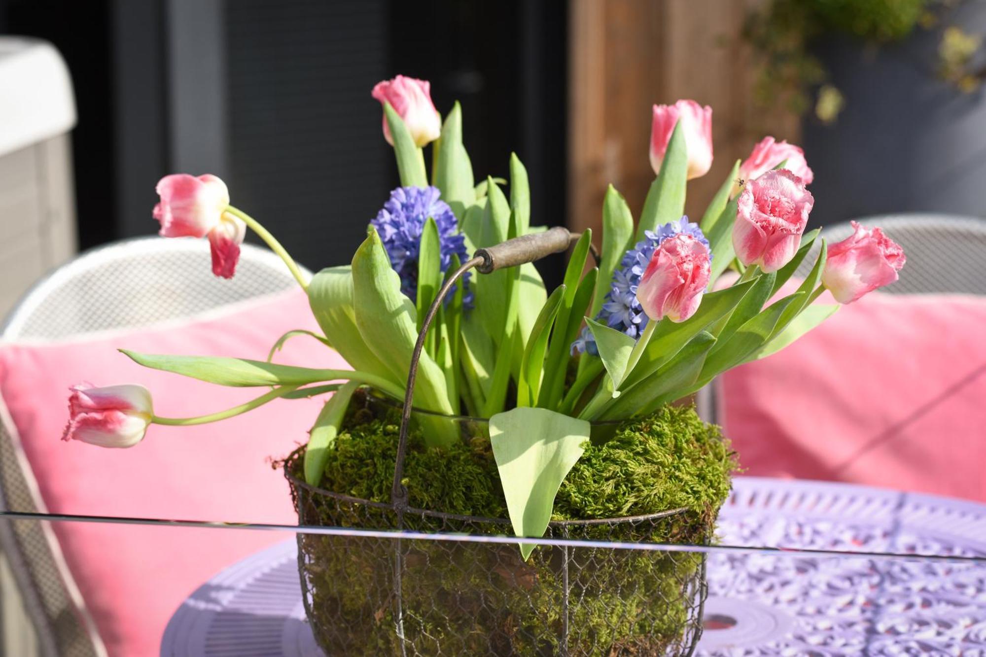 Holiday home Air Maison - The Cow Shed Wow Factor Countryside Retreat Westbourne (Hampshire)