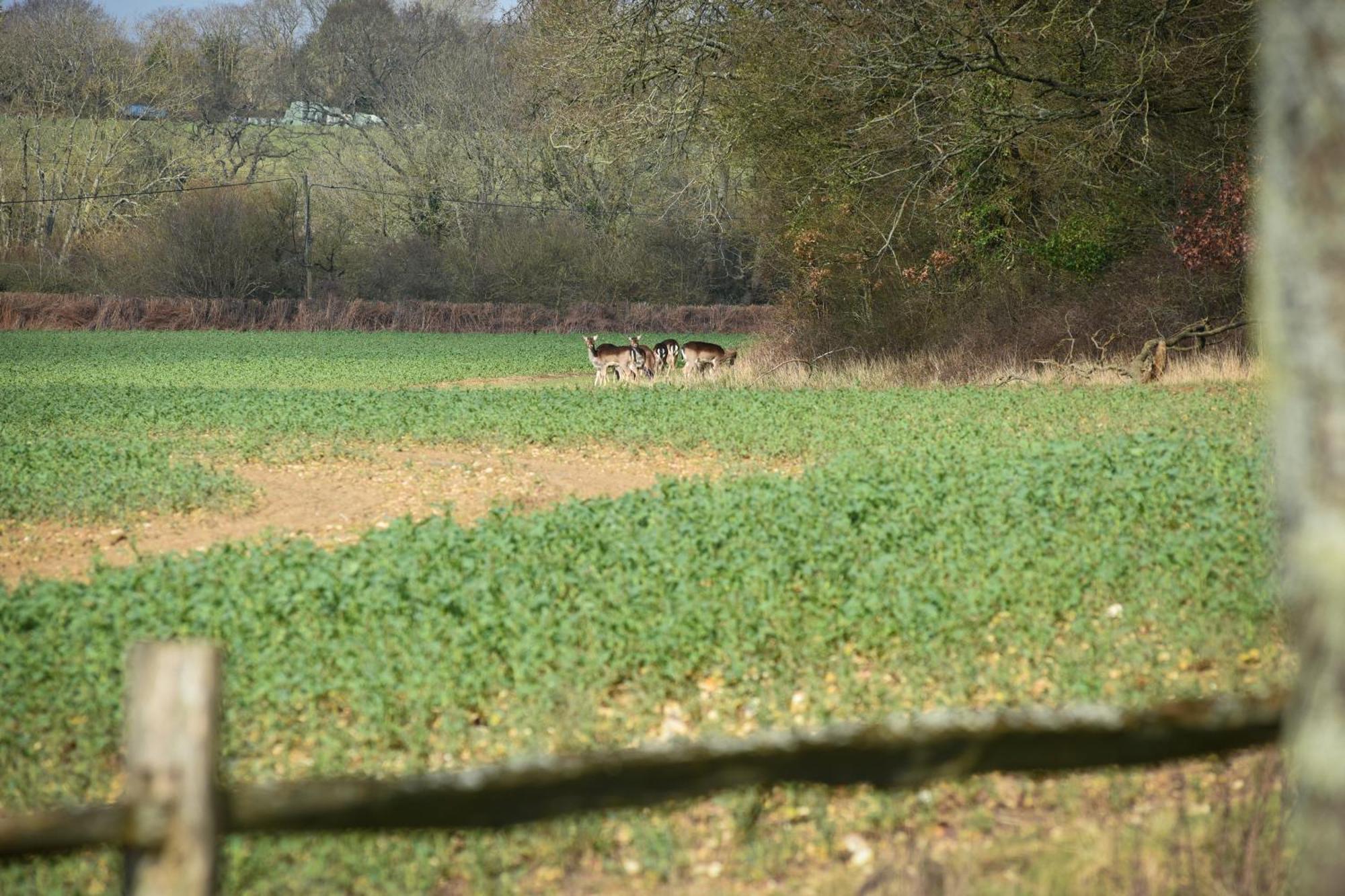 Air Maison - The Cow Shed Wow Factor Countryside Retreat Holiday home